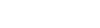 system logo